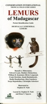  Lemurs of Madagascar: Diurnal and Cathemeral Lemurs