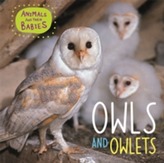 Animals and their Babies: Owls & Owlets