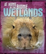  At Home in the Biome: Wetlands