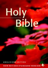  NRSV Popular Text Edition NR530:T