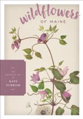  Wildflowers of Maine