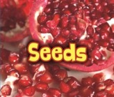  All About Seeds