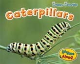  Caterpillars