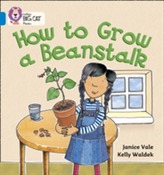  How to Grow a Beanstalk