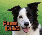  Farm Dogs