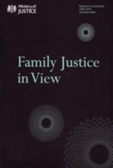  Family Justice in View