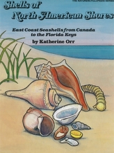  Shells of North American Shores