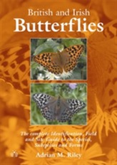  British and Irish Butterflies