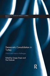  Democratic Consolidation in Turkey