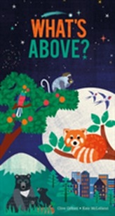 What's Above?