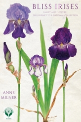  Bliss Irises