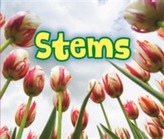  All About Stems