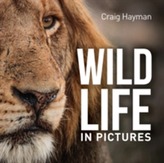  Wildlife In Pictures
