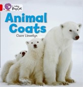  Animal Coats