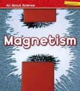  Magnetism