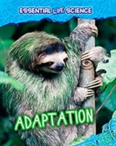  Adaptation