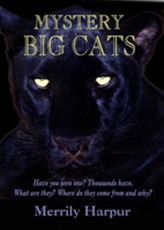  Mystery Big Cats