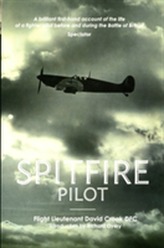  Spitfire Pilot