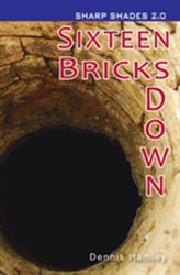  Sixteen Bricks Doiwn