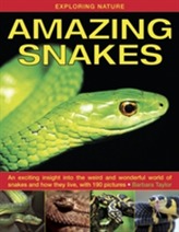  Exploring Nature: Amazing Snakes