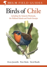  Birds of Chile