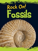  Fossils