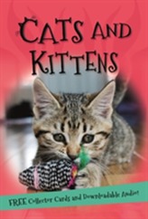  It's all about... Cats and Kittens