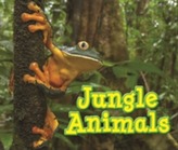  Jungle Animals