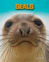  Seals