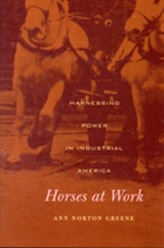  Horses at Work