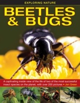  Exploring Nature: Beetles & Bugs