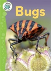 Tadpoles Learners: Bugs