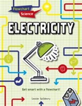  Electricity