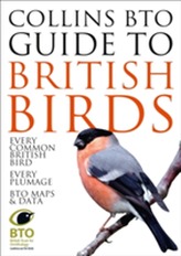  Collins BTO Guide to British Birds