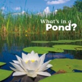  What's in a Pond?