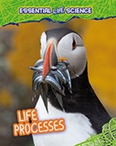  Life Processes