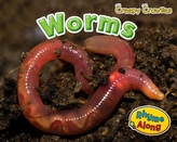  Worms