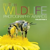  British Wildlife Photography Awards: Collection 6
