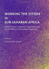  Working the System in Sub-Saharan Africa