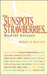  From Sunspots to Strawberries
