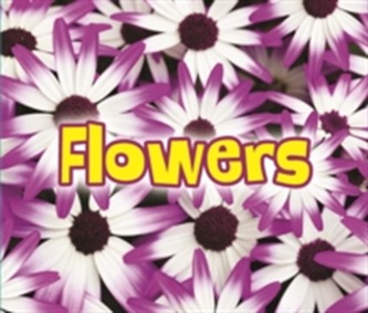 All About Flowers  All About Flowers