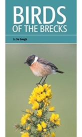  Birds of the Brecks