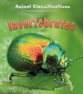  Invertebrates