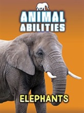  Elephants
