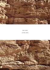  Doug Aitken