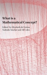  What is a Mathematical Concept?