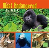 The Most Endangered Animals in the World