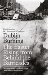  Dublin Burning