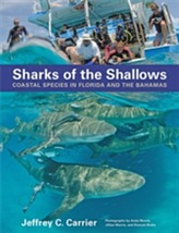  Sharks of the Shallows