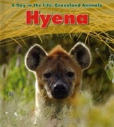  Hyena